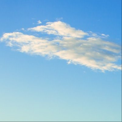 123